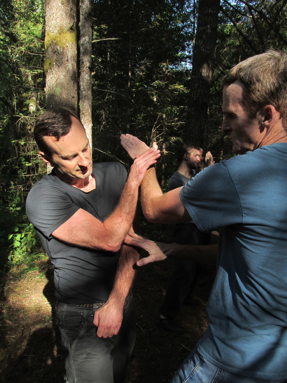 kung fu trapping practice